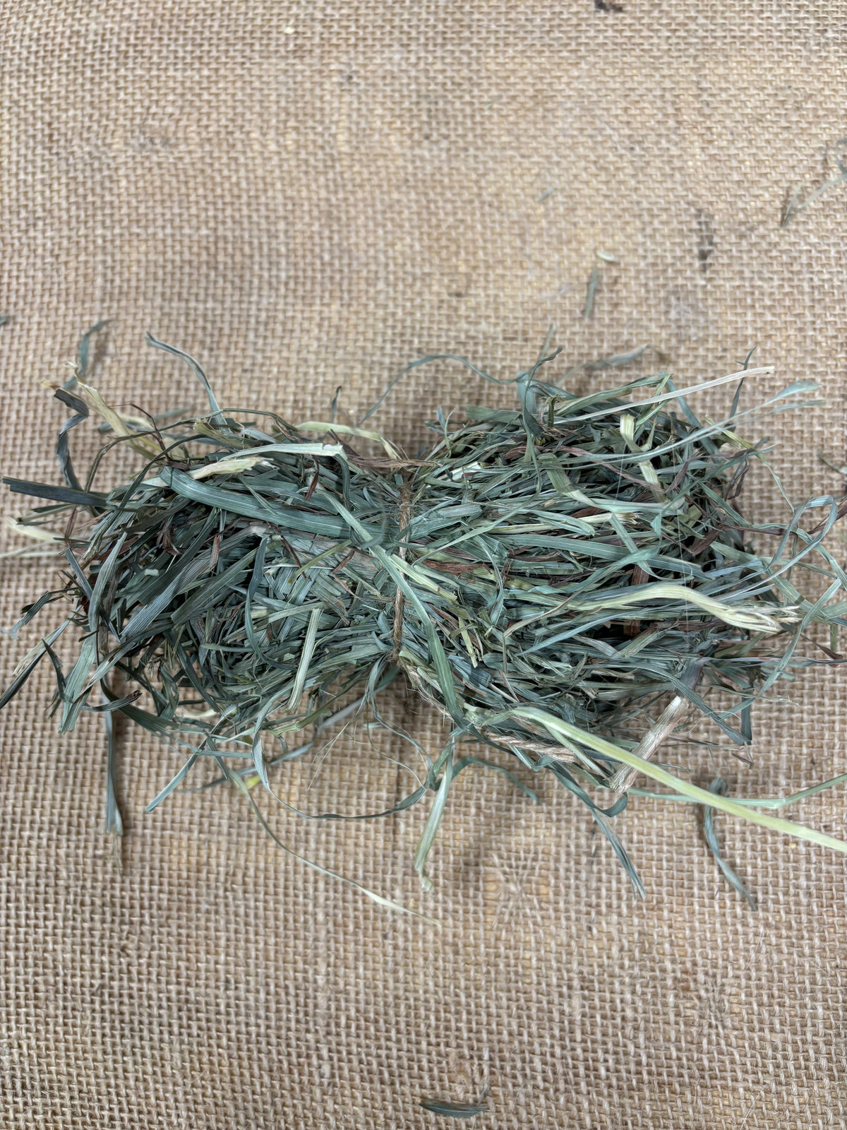 2nd Cutting Orchard Grass