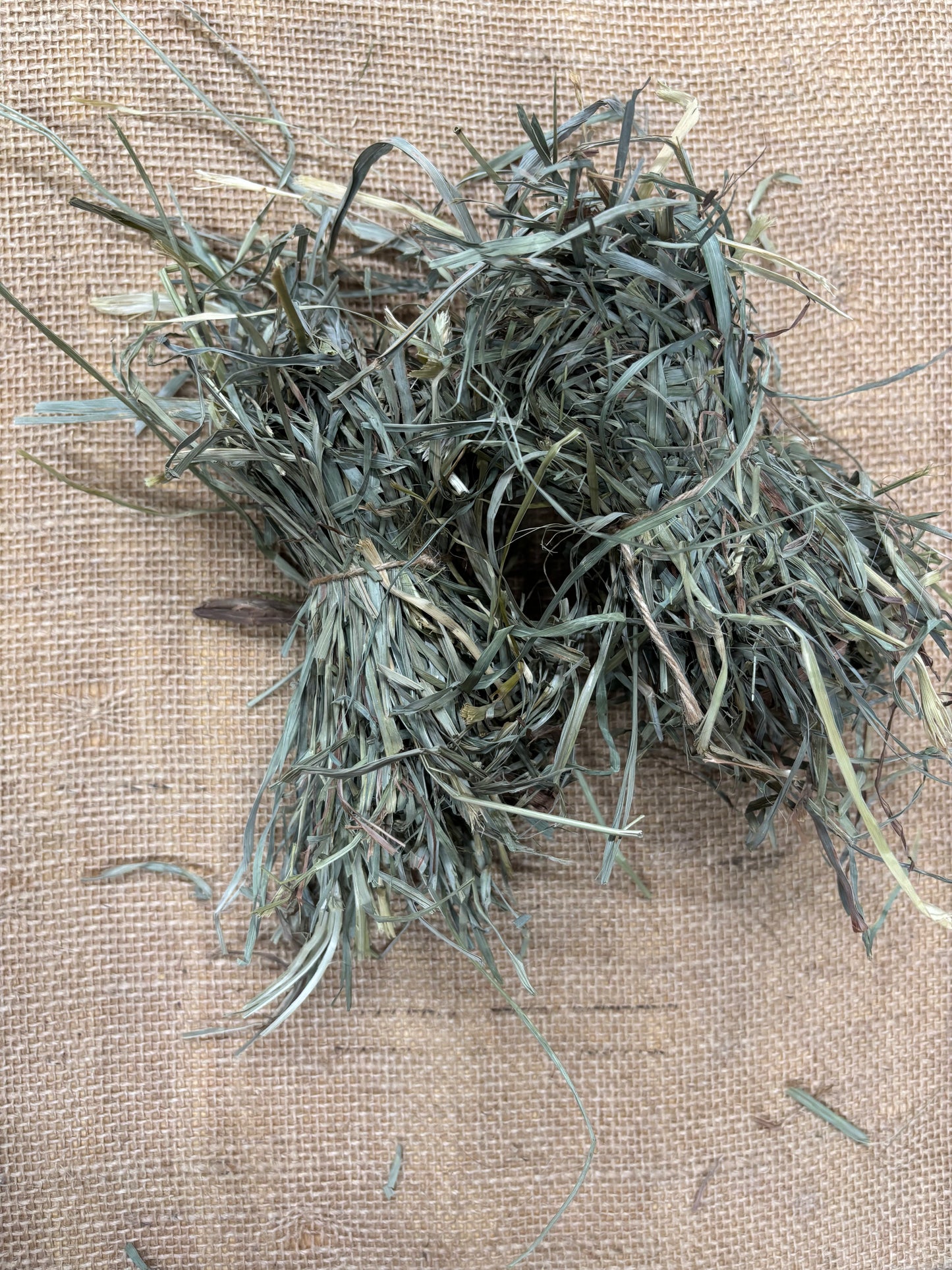 2nd Cutting Orchard Grass