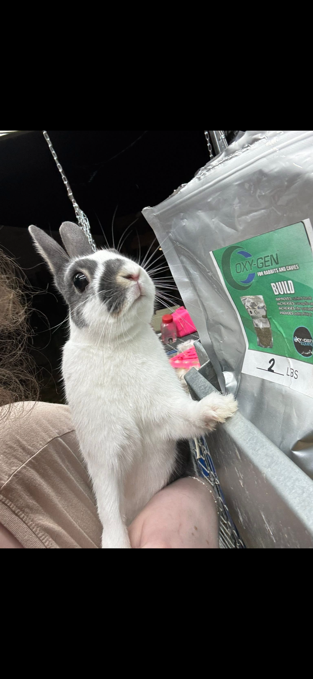 The ORIGINAL Oxy-Gen® Rabbit & Cavy Supplement