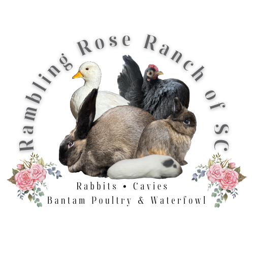 Rambling Rose Ranch of SC