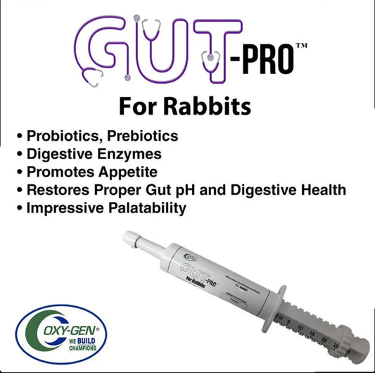Rabbit Gut-Pro™ Paste